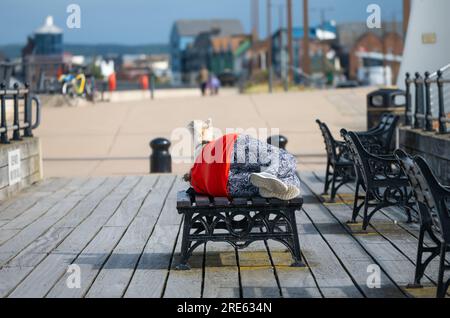 Donna seduta e riposa su una panchina di legno su un molo sul mare con un cane seduto con lei, in estate, nel Regno Unito. Foto Stock