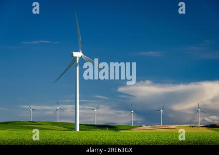 Turbine eoliche e campi di grano, Columbia County, Washington, USA. Foto Stock