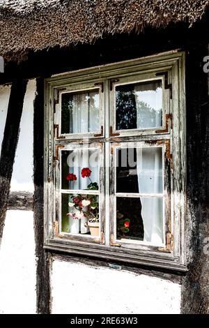 Finestra di casa in legno, con fiori, nel villaggio di Kluki. Polonia Foto Stock