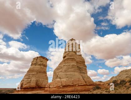 "Elephant Feet ' formazione rocciosa al di fuori Tonalea, Arizona. Foto Stock