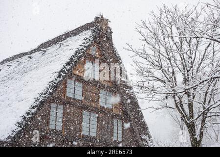 Una tradizionale casa sul tetto di paglia nella neve nello storico villaggio di Shirakawago, patrimonio dell'umanità dell'UNESCO nella prefettura di Gifu, Giappone. Foto Stock