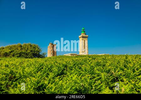 Sulla strada presso il punto panoramico Cap Fréhel in Bretagna - Plévenon - Francia Foto Stock