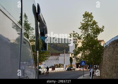 Specchio del bus con riflesso dell'albero Foto Stock