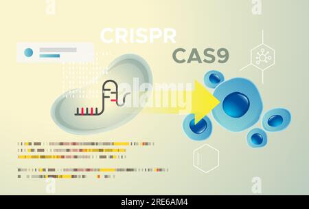 Ricerca genetica - Modifica genica e modifica dell'elica del DNA - tecnologia CRISPR-CAS9 - illustrazione astratta come file EPS 10 Illustrazione Vettoriale