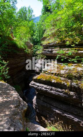 Esplora la gola di Rosomački Lonci sulla Stara Planina, un fenomeno naturale mozzafiato scolpito dal fiume Rosomača. Scopri le cascate e un po' Foto Stock