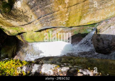 Esplora la gola di Rosomački Lonci sulla Stara Planina, un fenomeno naturale mozzafiato scolpito dal fiume Rosomača. Scopri le cascate e un po' Foto Stock