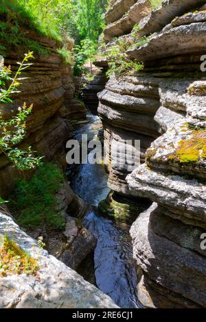 Esplora la gola di Rosomački Lonci sulla Stara Planina, un fenomeno naturale mozzafiato scolpito dal fiume Rosomača. Scopri le cascate e un po' Foto Stock