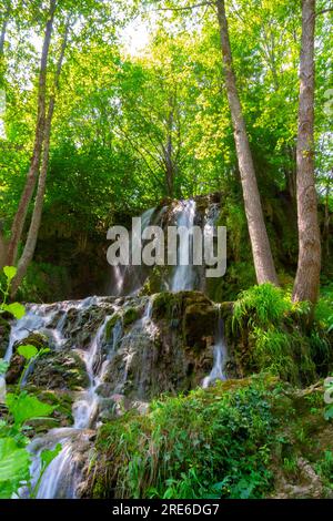 Avventurati in un magico mondo di cascate nella foresta, dove l'arte della natura svela laghi dalle tonalità turchesi mozzafiato. Immergetevi nella tranquillità del b Foto Stock