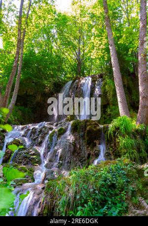 Avventurati in un magico mondo di cascate nella foresta, dove l'arte della natura svela laghi dalle tonalità turchesi mozzafiato. Immergetevi nella tranquillità del b Foto Stock