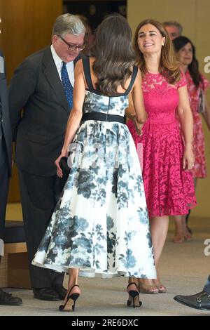 Madrid, Madrid, Spagna. 25 luglio 2023. La regina Letizia di Spagna partecipa all'apertura delle collezioni reali alla Royal Collections Gallery il 25 luglio 2023 a Madrid, Spagna (Credit Image: © Jack Abuin/ZUMA Press Wire) SOLO PER USO EDITORIALE! Non per USO commerciale! Foto Stock