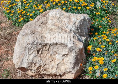 Fiori di calendula e pietra nel giardino . Sfondo naturale estivo Foto Stock