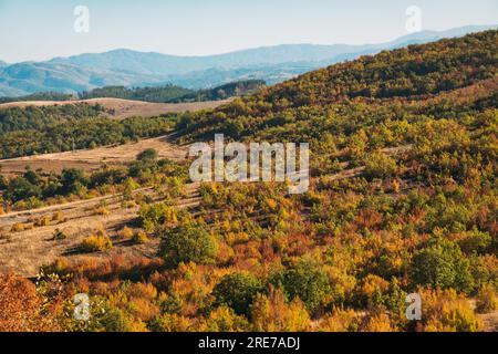 Vivaci colori autunnali nella campagna bulgara vicino alla città di Logodazh Foto Stock