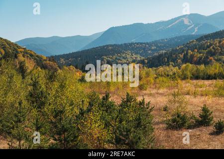 Le lussureggianti foreste verdi delle montagne Rila bulgare iniziano a diventare ambrate in autunno Foto Stock