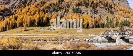 La famosa Roseg Valley nella stagione autunnale dorata con fienili in pietra e ponti in legno Foto Stock