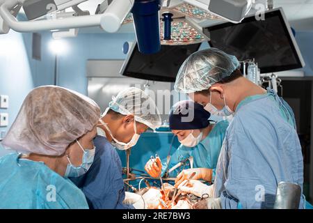 I chirurghi lavorano in team durante operazioni chirurgiche complesse in una sala operatoria sterile. I medici si sono appoggiati sul paziente utilizzando moderni strumenti chirurgici e morsetti. Foto Stock