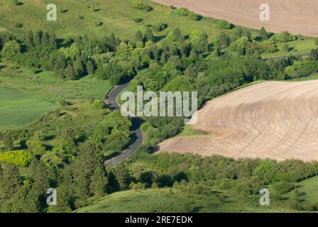 Zona di boschi e praterie sotto le pendici di Steptoe Butte. Steptoe Butte State Park, Washington, USA. Foto Stock