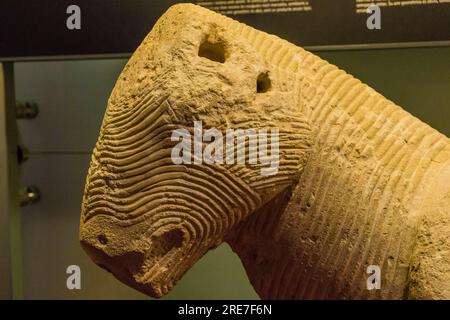 Bolla del parco, museo archeologico e storico di Elche Alejandro Ramos Folqués, Elche, Alicante, comunità valenciana, Spagna, Europa Foto Stock