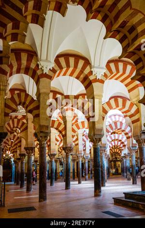 Sala di preghiera, Moschea-cattedrale di Córdoba, Andalusia, Spagna Foto Stock