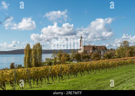 Chiesa di pellegrinaggio Birnau sul Lago di Costanza con vigneti in autunno, Uhldingen-Muehlhofen, alta Svevia, Baden-Wuerttemberg, Germania Foto Stock