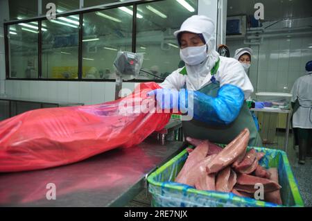 Giacarta, Indonesia - 26 maggio 2017: Attività di lavorazione del tonno nel porto di Muara Baru, Giacarta, Indonesia Foto Stock