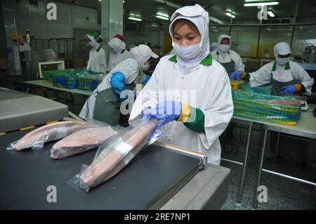 Giacarta, Indonesia - 26 maggio 2017: Attività di lavorazione del tonno nel porto di Muara Baru, Giacarta, Indonesia Foto Stock