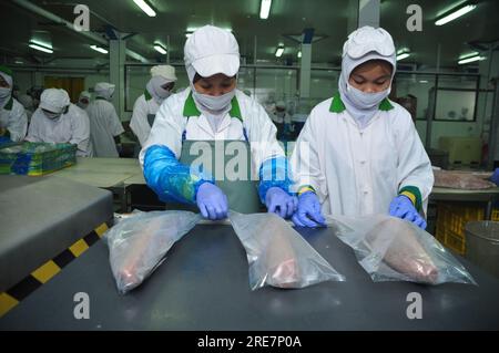 Giacarta, Indonesia - 26 maggio 2017: Attività di lavorazione del tonno nel porto di Muara Baru, Giacarta, Indonesia Foto Stock