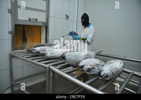 Giacarta, Indonesia - 26 maggio 2017: Attività di lavorazione del tonno nel porto di Muara Baru, Giacarta, Indonesia Foto Stock