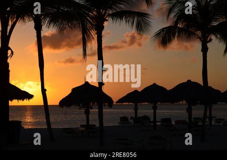 Splendide palme e palme sagomate sulla spiaggia di Aruba. Foto Stock