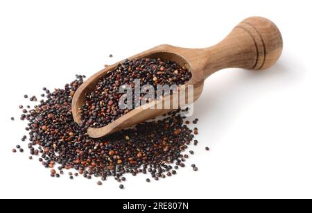 Paletta in legno di semi di quinoa nera isolati su bianco Foto Stock