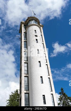 Torre di osservazione Suure Munamae in Estonia Foto Stock