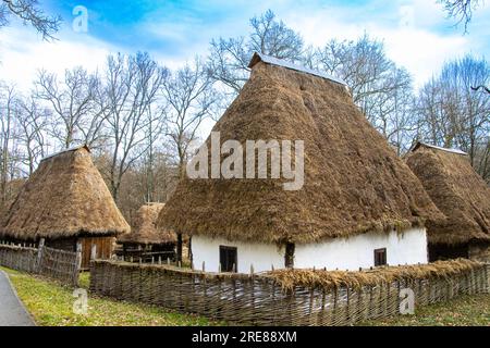 Antiche case al Museo Astra, la più importante istituzione etno-museo in Romania. Foto Stock