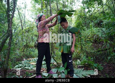 (230726) - JINPING, 26 luglio 2023 (Xinhua) - la moglie di Zhang Puzhong Wang Suying (L) veste suo nipote con foglie di banana nella foresta vicino al villaggio di Xiaxinzhai, Zhemi Township, Jinping County, Honghe Hani e Yi Prefettura autonoma, provincia dello Yunnan della Cina sud-occidentale, 23 luglio 2023. Dopo giorni di riflessione, Zhang Puzhong decise di fare qualcosa di istruttivo ai suoi nipoti: Riportarli nella foresta che abitava da bambino più di 60 anni fa. E' molto importante. So quanto sono felice oggi perché non dimentico mai quanto fosse amara la mia vita in passato", ha detto Zhang. Zhan Foto Stock