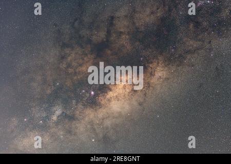 Le stelle e la via Lattea da un cortile di Umina Beach sulla costa centrale del New South Wales, Australia. Foto Stock