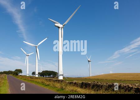 Turbine eoliche a Royd Moor Foto Stock