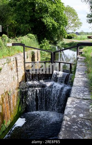 I campanili si chiudono nella sezione interna del Canale di Newry fuori Scarva Foto Stock