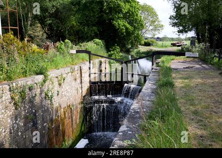 I campanili si chiudono nella sezione interna del Canale di Newry fuori Scarva Foto Stock