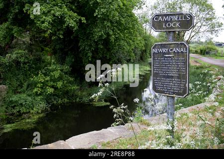 I campanili si chiudono nella sezione interna del Canale di Newry fuori Scarva Foto Stock