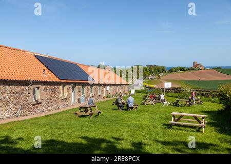 L'Old Smiddy Coffee Shop all'inizio della riserva naturale di St Abbs Foto Stock