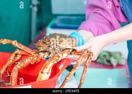 Truro, Regno Unito. , . Truro era vuoto in un mercatino noioso e piovoso a Lemon Quay. Le previsioni sono: Pioggia, pioggia leggera a 19C e brezza leggera per il resto della giornata. Crediti: Keith Larby/Alamy Live News Foto Stock