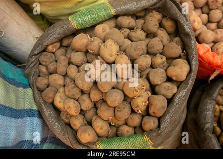 Varietà di patate peruviane nel mercato centrale della città di Cusco in Perù. Foto Stock