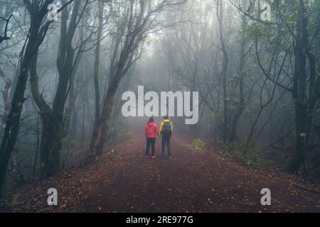 Vista posteriore di una coppia di viaggiatori irriconoscibili che camminano lungo il sentiero tra alti alberi verdi nella nebbiosa foresta mentre esplorano la natura di Tenerife in Spagna Foto Stock