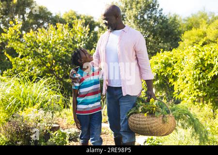 Nonno e nipote afroamericani felici che tengono cesto con verdure, abbracciati in giardino Foto Stock