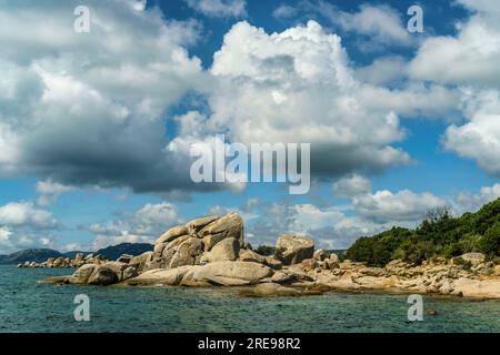 Plage de Tamaricciu, Strand, Beach, Felsen, Corse-du-Sud, Korsika, Frankreich, Europa Foto Stock