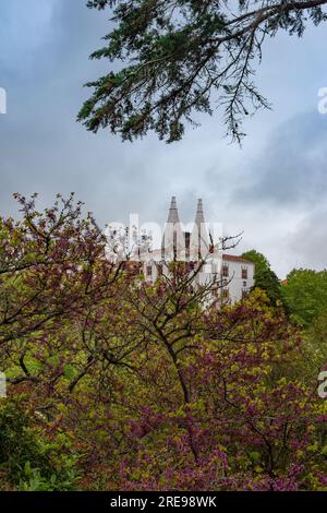 La vista del Palazzo Nazionale di Sintra tra tra la vegetazione in un giorno di pioggia, il Portogallo Foto Stock