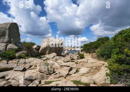 Plage de Tamaricciu, Strand, Beach, Felsen, Corse-du-Sud, Korsika, Frankreich, Europa Foto Stock