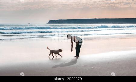 Veduta laterale di una giovane donna anonima che guarda lontano mentre si sta in piedi e si piega sulla spiaggia sabbiosa vicino al mare e gioca con il cane domestico al tramonto Foto Stock