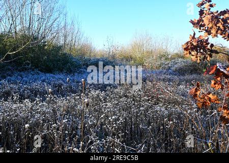 paesaggio rurale ghiacciato Foto Stock