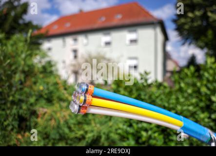 Zwenkau, Germania. 26 luglio 2023. I cavi in fibra ottica sporgono dalla base di un quadro di controllo. L'operatore di rete in fibra ottica della Germania orientale Envia Tel vuole collegare circa 80.000 famiglie a Internet ad alta velocità nei prossimi anni. Lo scopo è raggiungere larghezze di banda fino a 1 gigabit al secondo. Per questo sono previsti investimenti superiori a 350 milioni di euro entro il 2026. Crediti: Jan Woitas/dpa/Alamy Live News Foto Stock