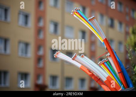 Zwenkau, Germania. 26 luglio 2023. I cavi in fibra ottica sporgono dalla base di un quadro di controllo. L'operatore di rete in fibra ottica della Germania orientale Envia Tel vuole collegare circa 80.000 famiglie a Internet ad alta velocità nei prossimi anni. Lo scopo è raggiungere larghezze di banda fino a 1 gigabit al secondo. Per questo sono previsti investimenti superiori a 350 milioni di euro entro il 2026. Crediti: Jan Woitas/dpa/Alamy Live News Foto Stock