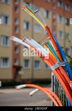 Zwenkau, Germania. 26 luglio 2023. I cavi in fibra ottica sporgono dalla base di un quadro di controllo. L'operatore di rete in fibra ottica della Germania orientale Envia Tel vuole collegare circa 80.000 famiglie a Internet ad alta velocità nei prossimi anni. Lo scopo è raggiungere larghezze di banda fino a 1 gigabit al secondo. Per questo sono previsti investimenti superiori a 350 milioni di euro entro il 2026. Crediti: Jan Woitas/dpa/Alamy Live News Foto Stock